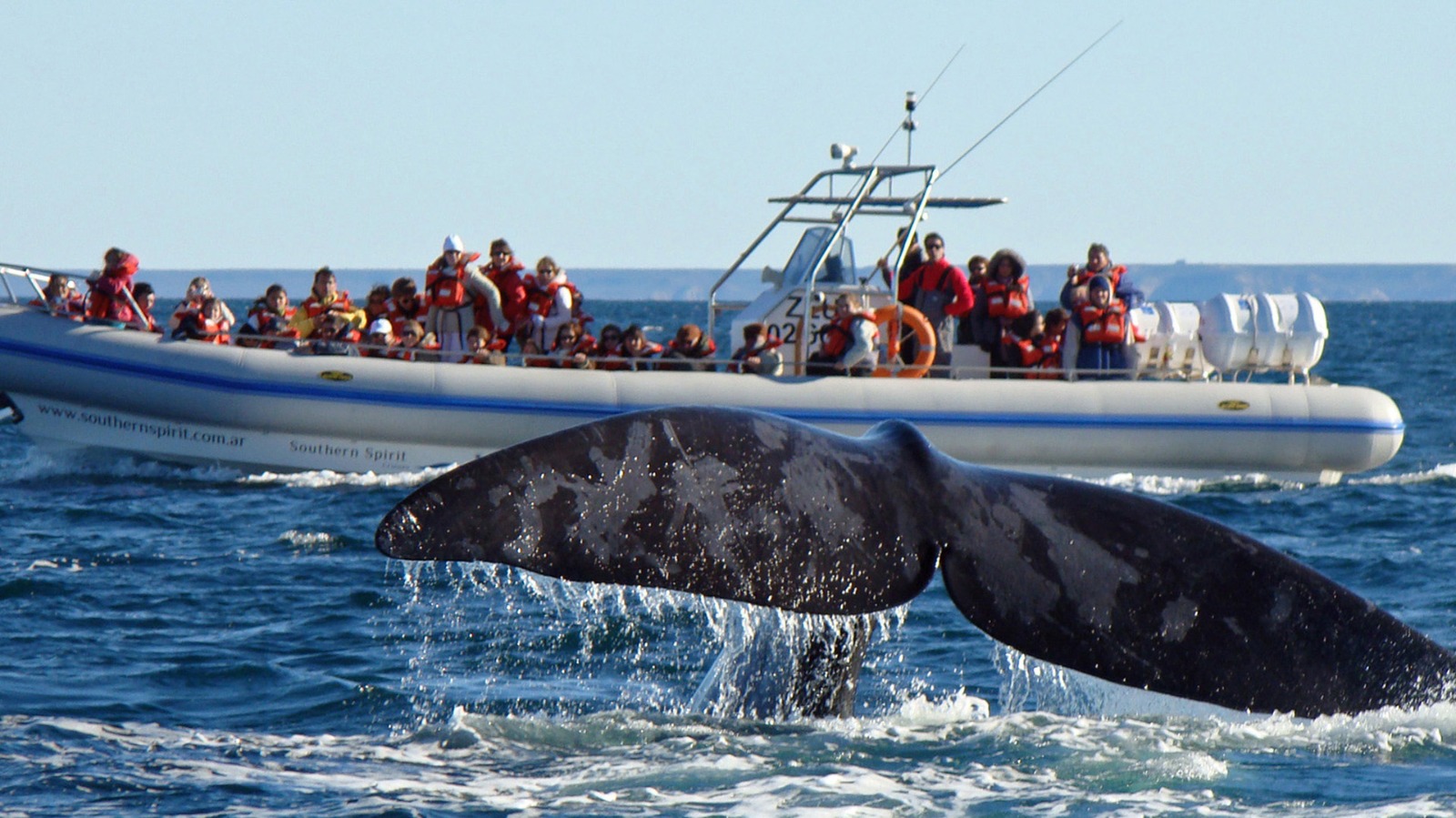 En el marco del lanzamiento de la Temporada de Ballenas 2024 se inauguró como Sede del Pre Cosquín 2025 a Puerto Pirámides