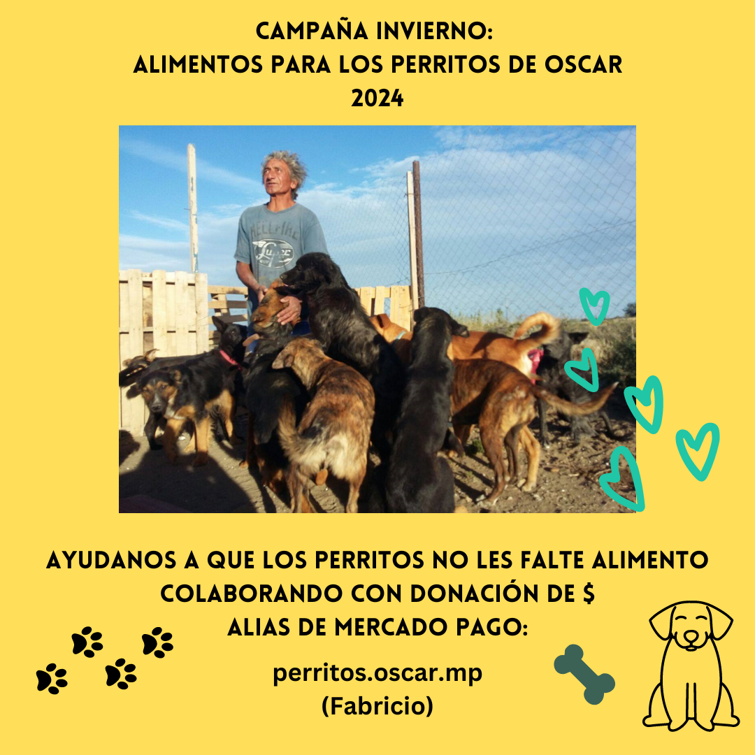 Campaña Invernal para ayudar a Oscar y sus perros rescatados