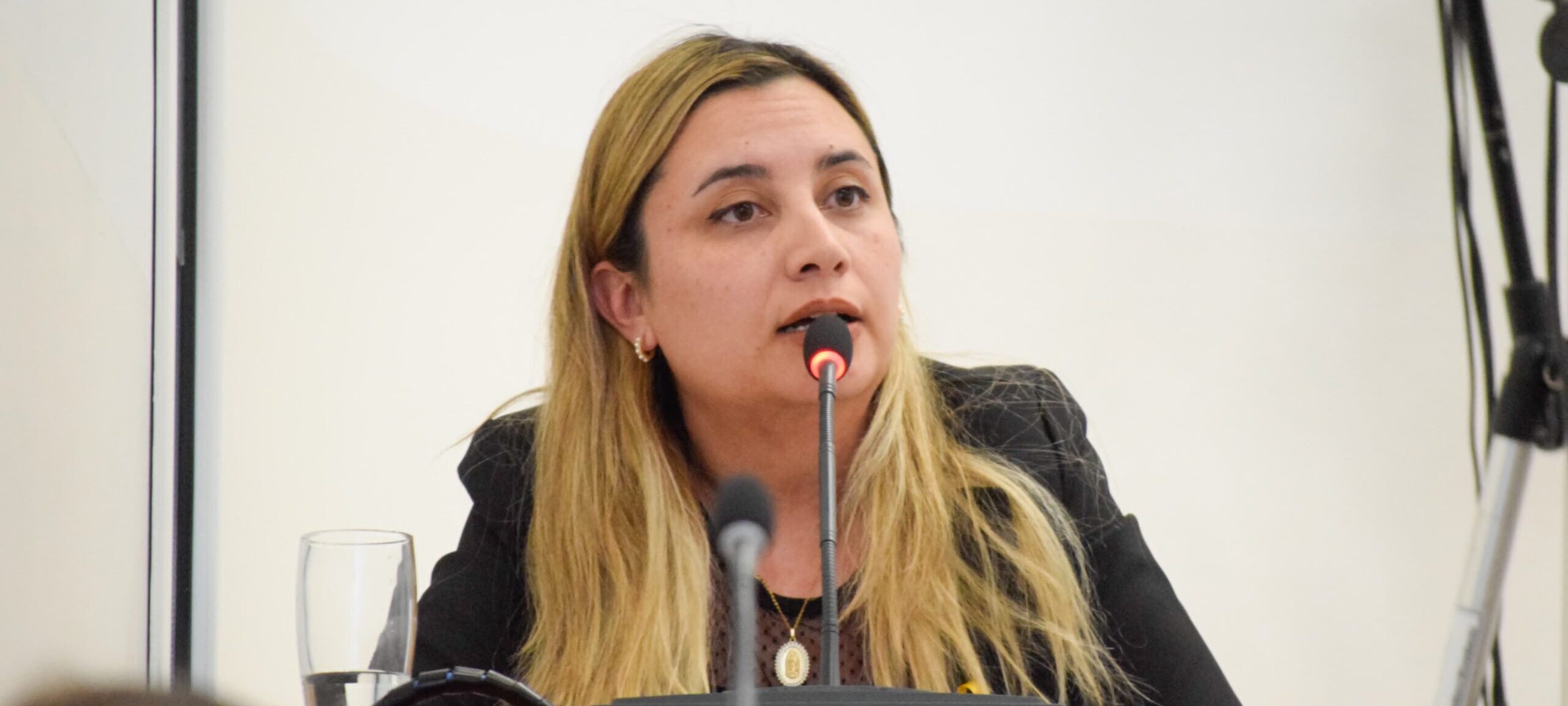 Concejales del bloque Despierta Comodoro buscan derogar la pirotecnia lumínica